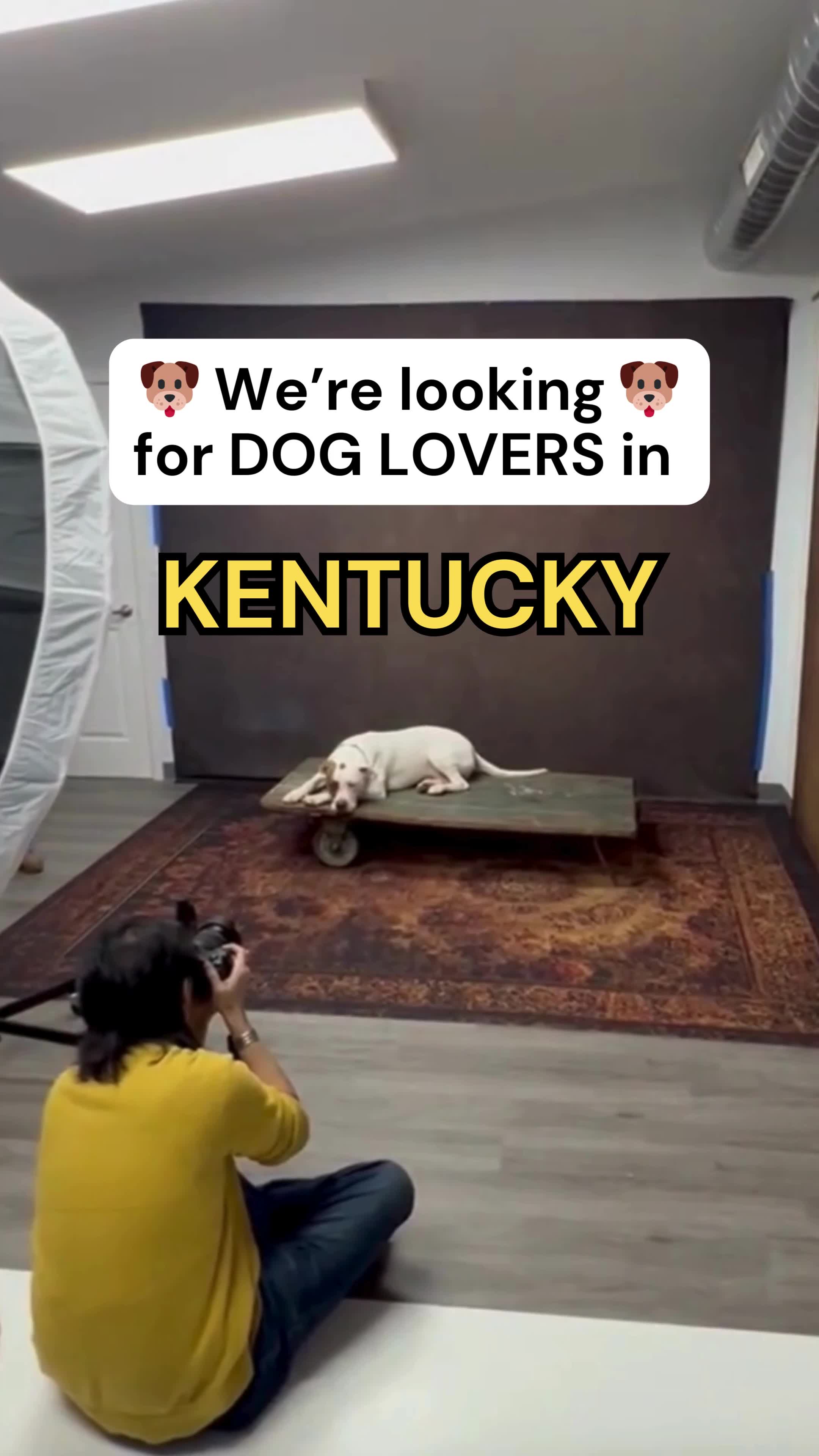 Complimentary Furbaby Portrait Experience + Fine Artwork