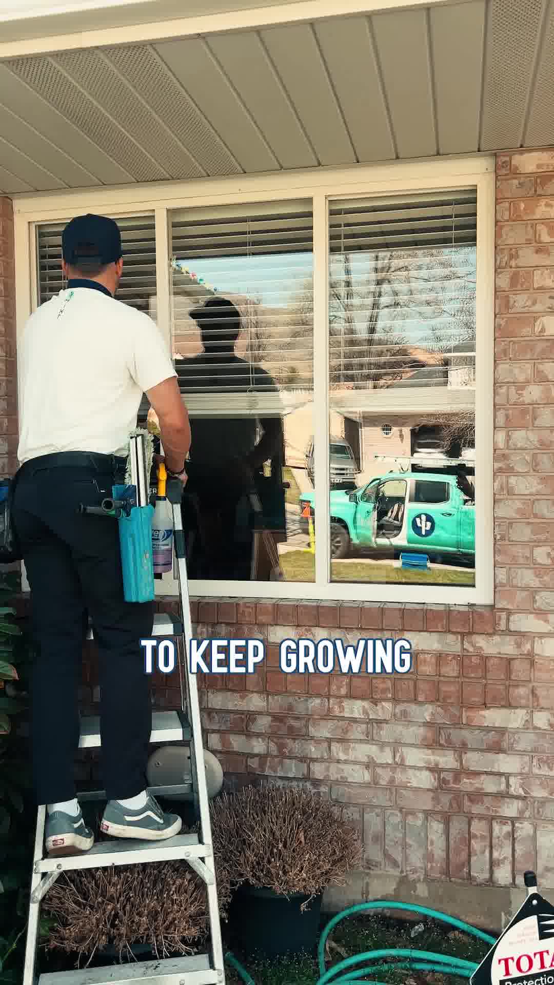 Professional Window Cleaning, Zero Effort