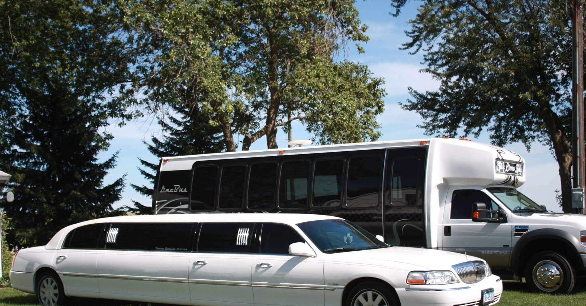 Dawson Limousine Limo Service ad creative