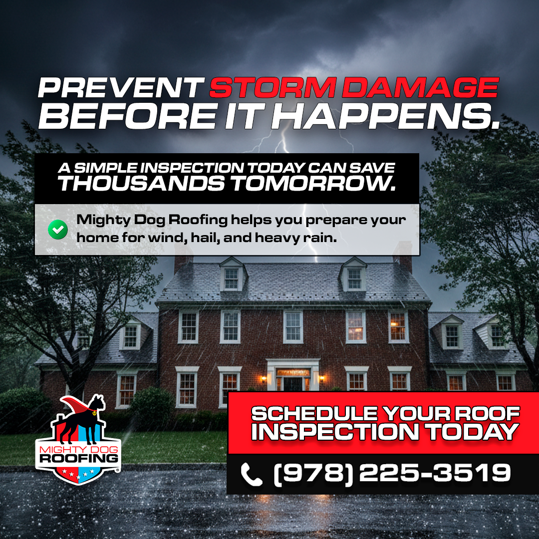 Mighty Dog Roofing of Greater Middlesex County Roofing ad creative
