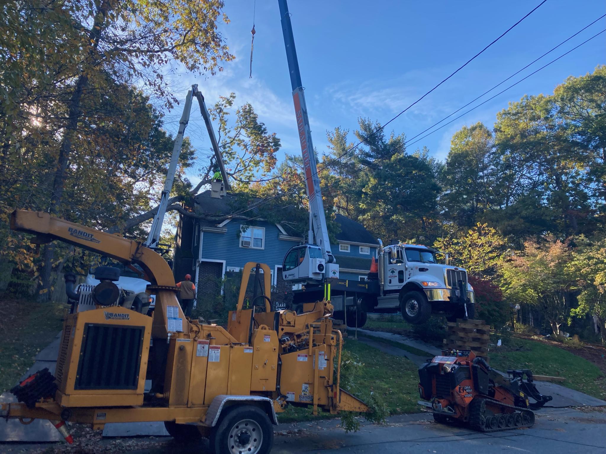 Fully Insured Tree Removal Company