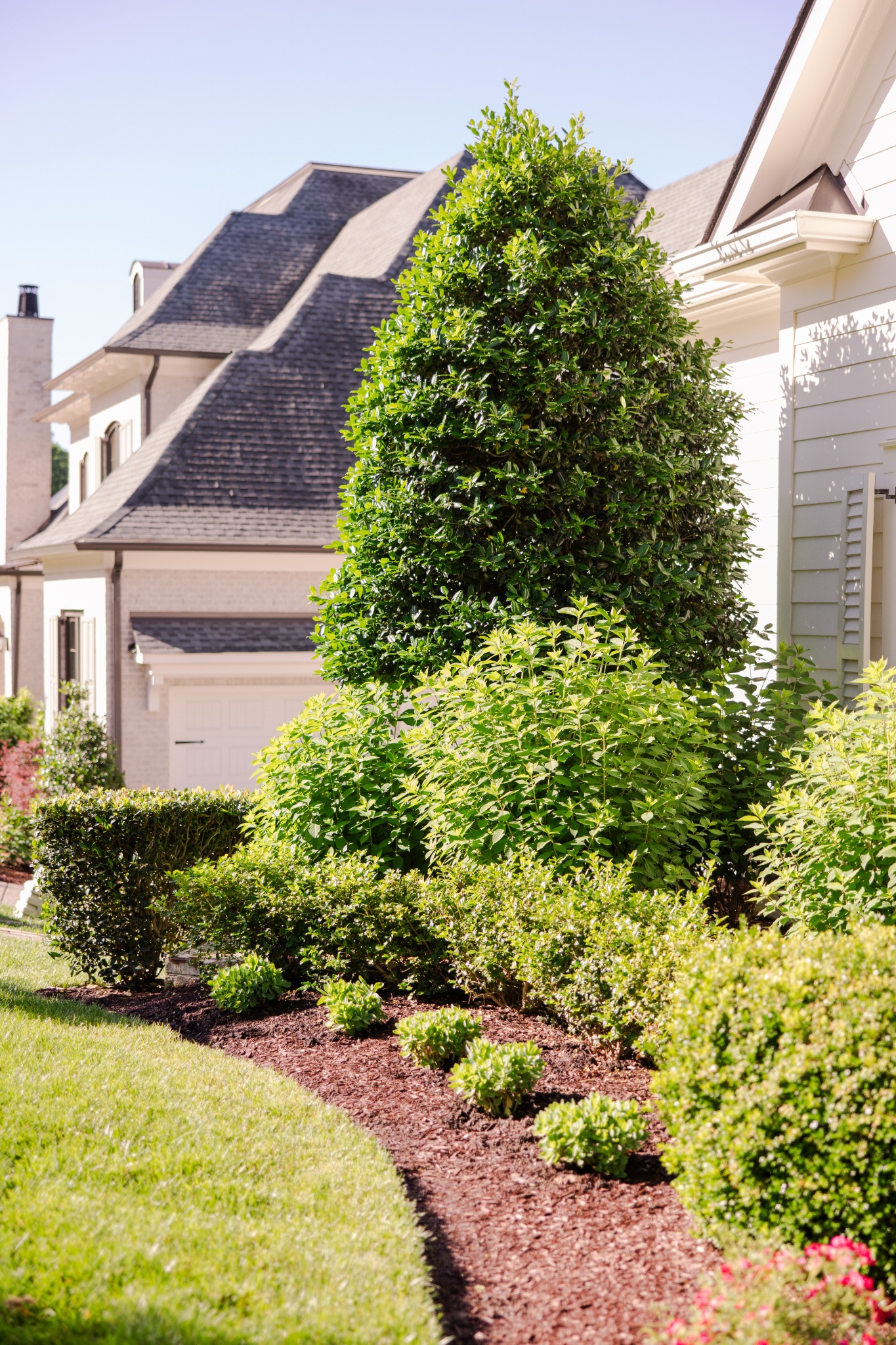 🌿 Professional Fertilization Programs