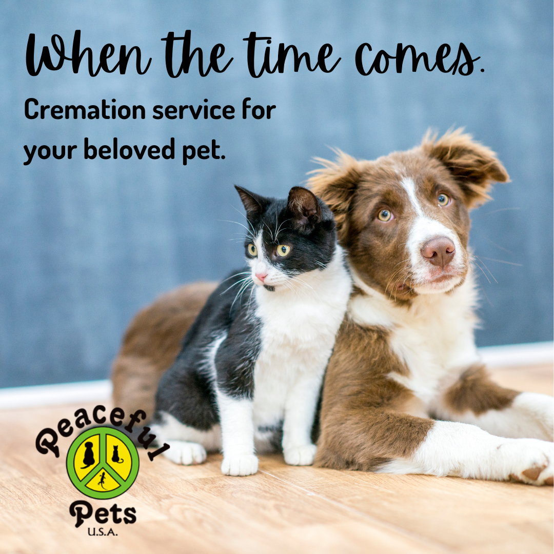 We will treat your beloved companion with respect