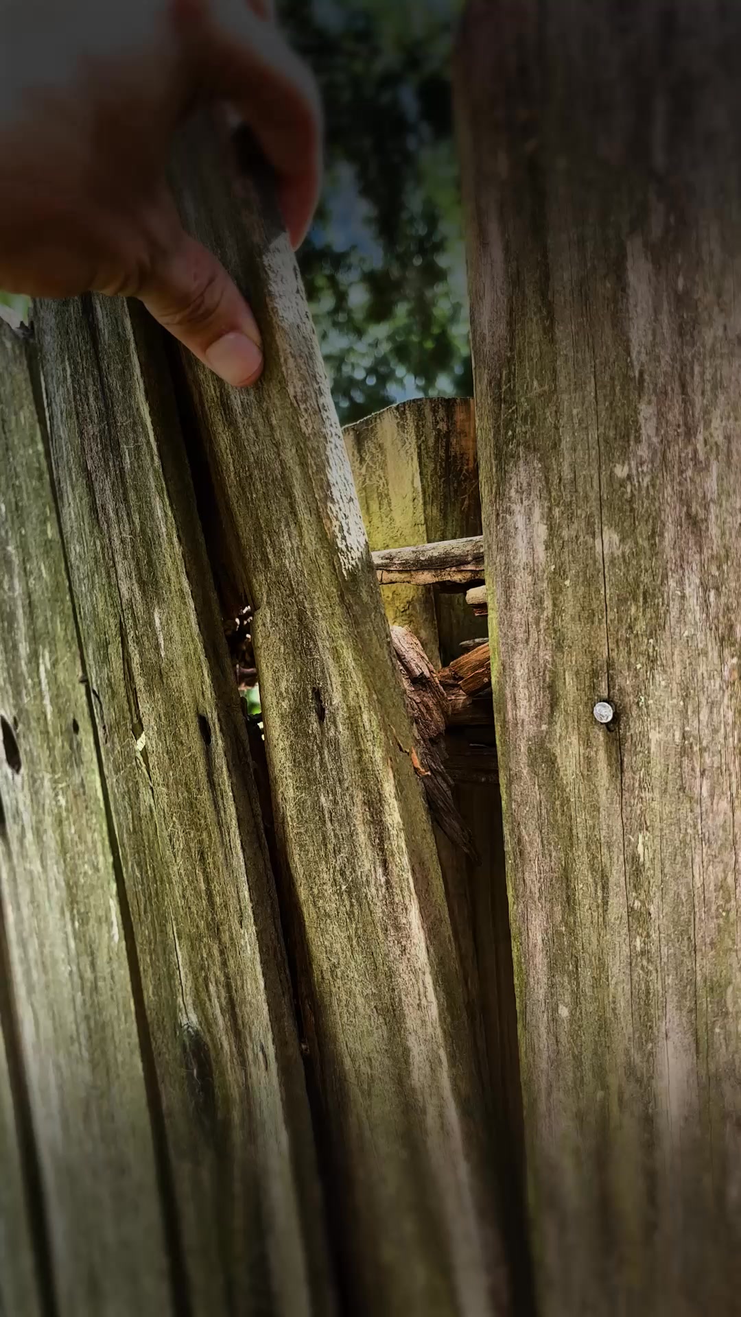 New Fence: $0 Down · No Payments · No Interest