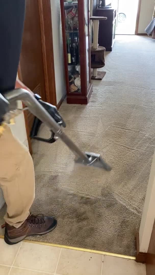 3 Rooms Cleaned + Free Deodorizer & Hallway: $135!