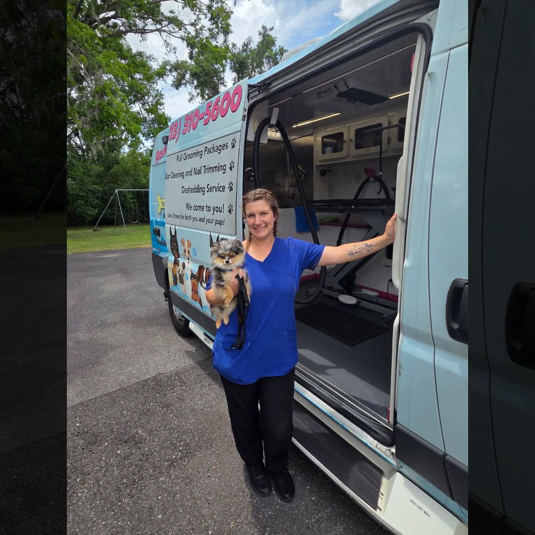 Rover Done Over Mobile Pet Grooming Pet Grooming ad creative