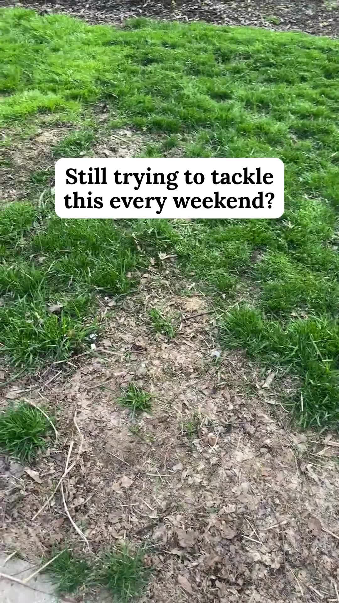 C&S Lawn Service and Landscape Inc. GoHighLevel Resellers ad creative