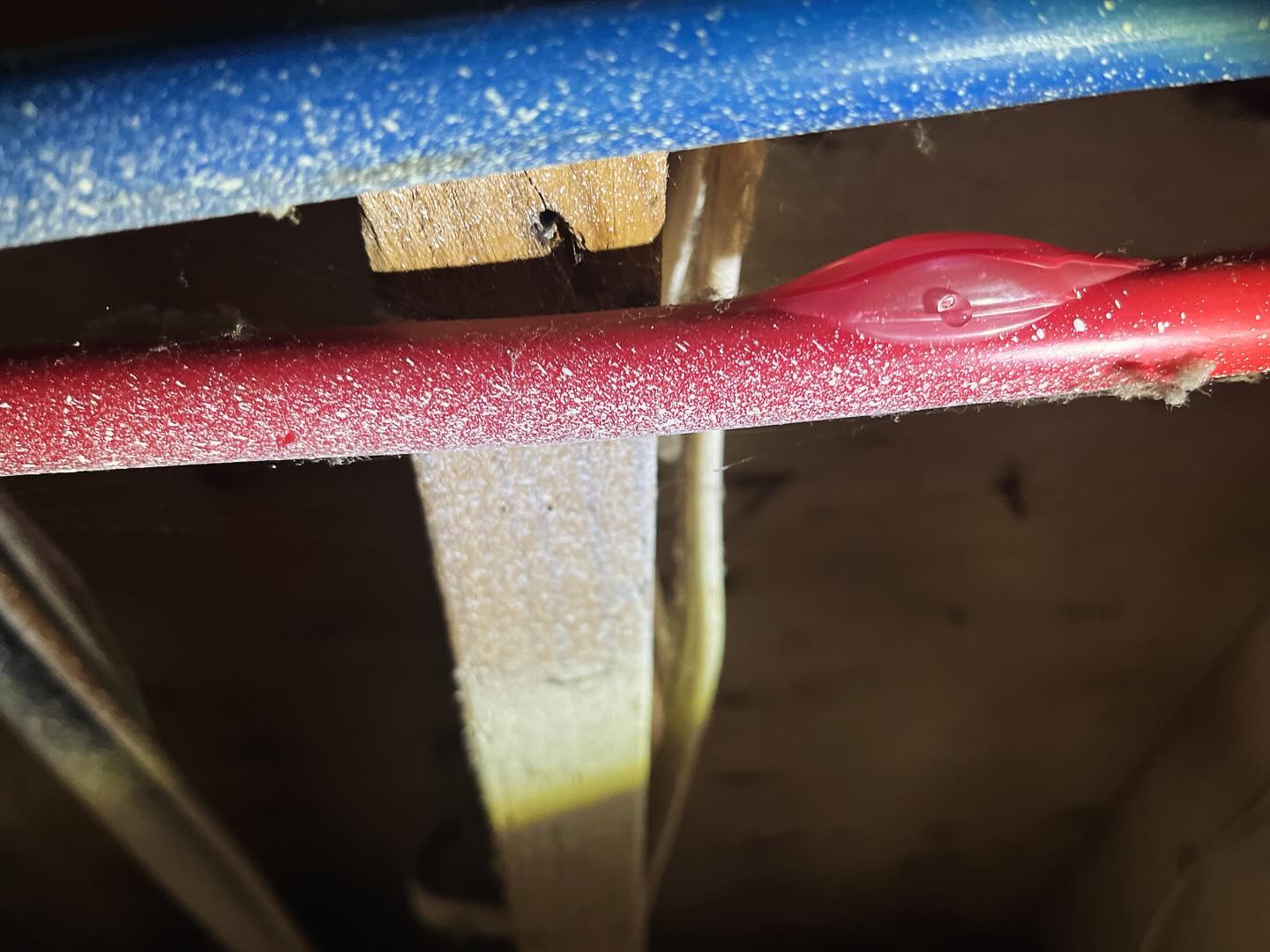 Platinum Plumbing and Drain Cleaning Plumber ad creative