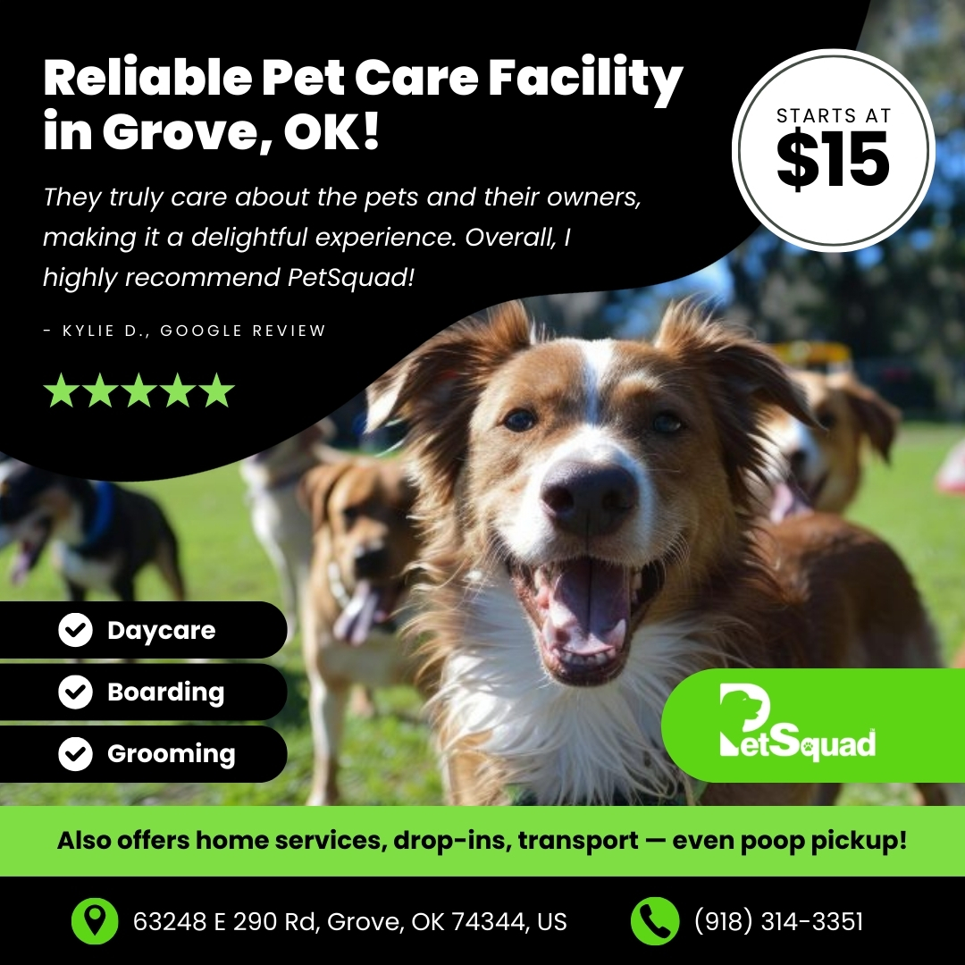 Today’s Pet Care Pick: PetSquad Grove