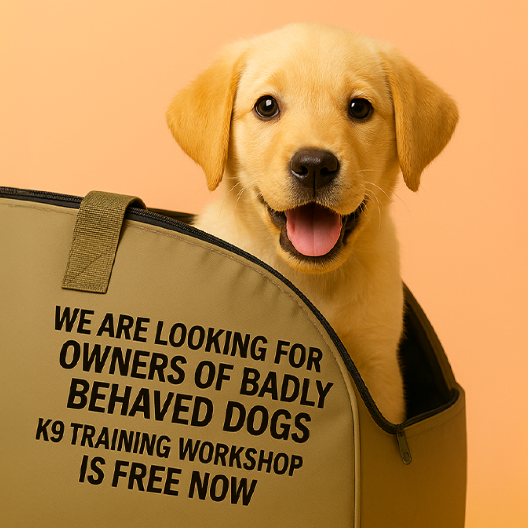 Free Dog Training Workshop
