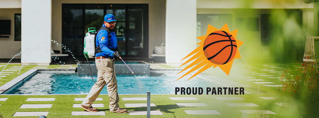 Premium Pest Service $49/mo