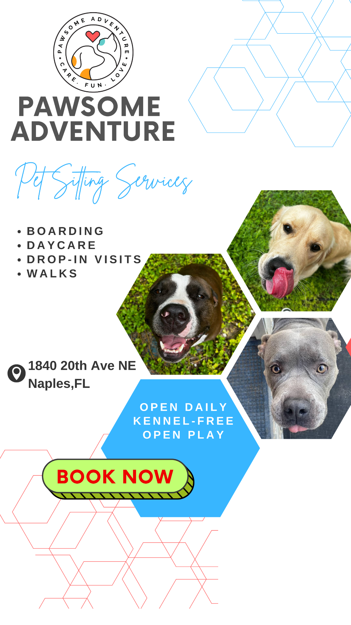 Pet-Sitting Services