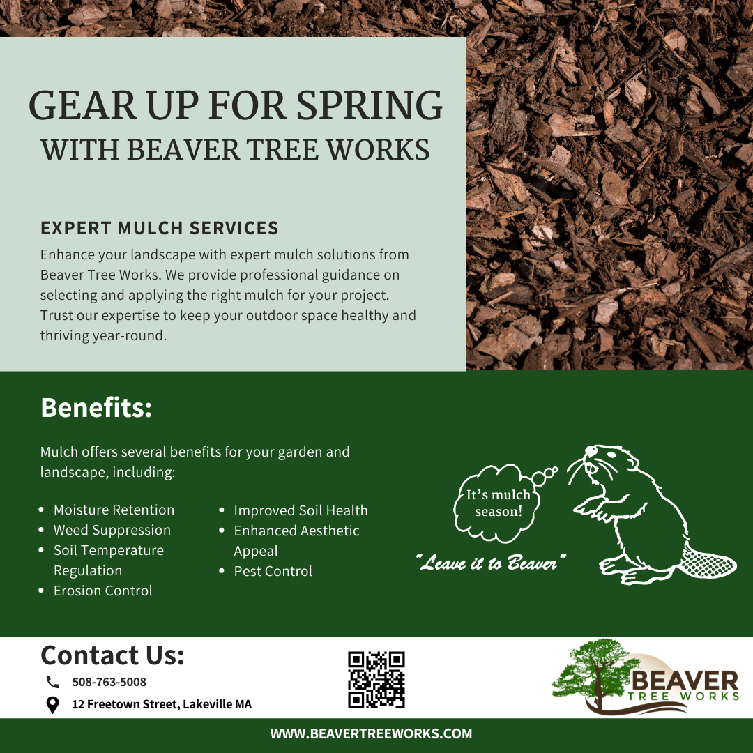 Beaver Tree Works, LLC Landscaping ad creative