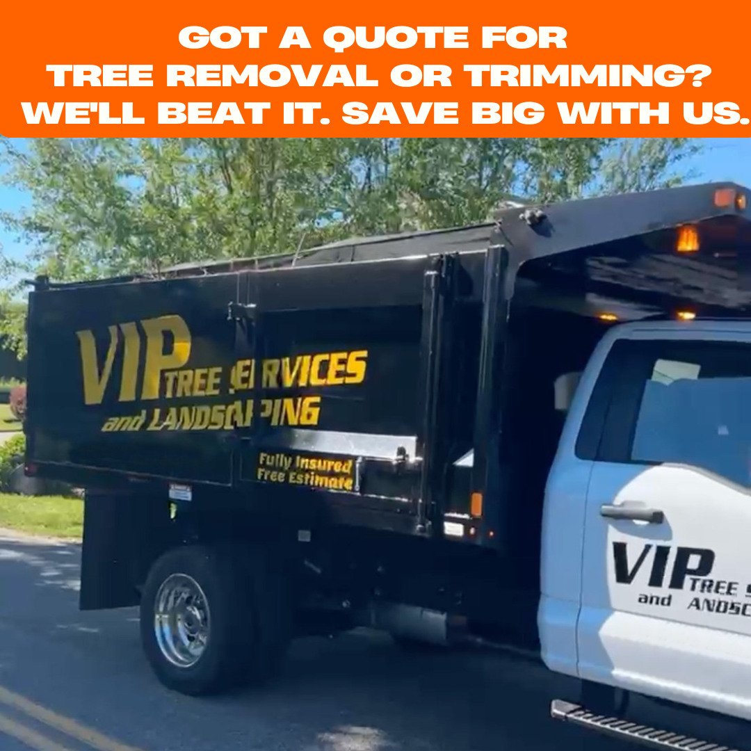 Tree Removal Same-Day Quote (Get Up to $500 OFF)