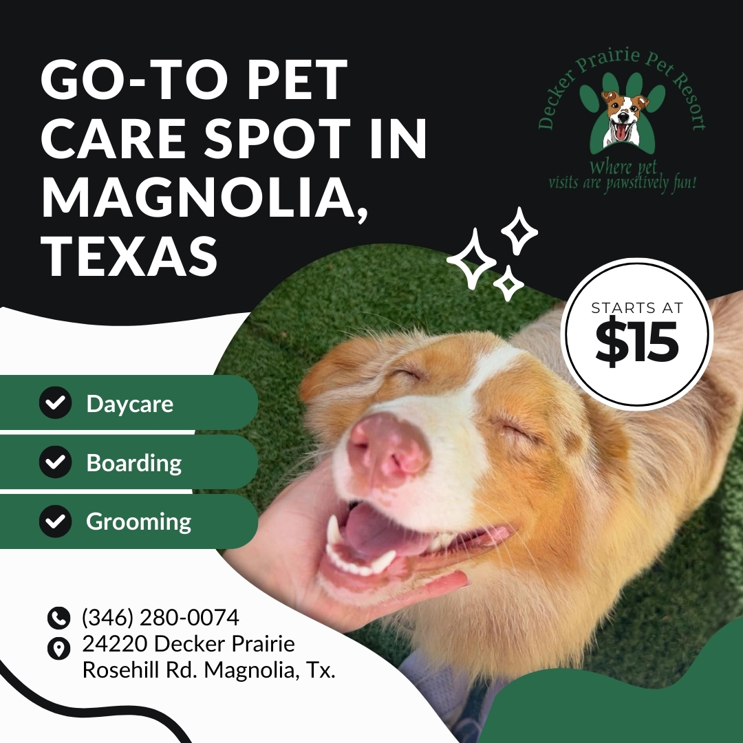 Today's Pet Care Pet Boarding ad creative