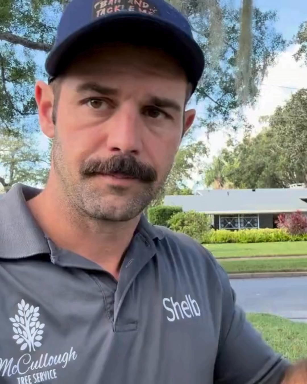 Get Your Free Tree Trimming Quote