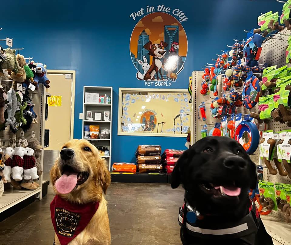 Pet in the City Pet Store ad creative