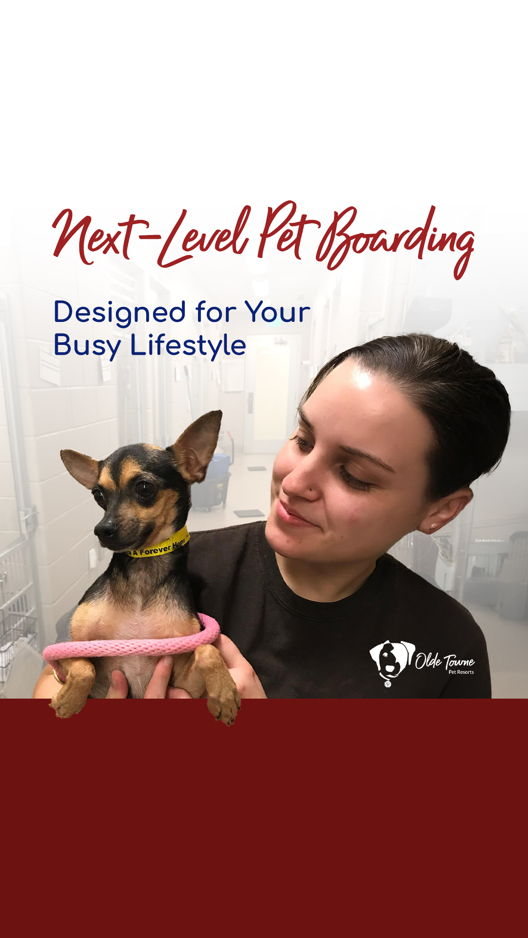 Olde Towne Pet Resort Pet Boarding ad creative