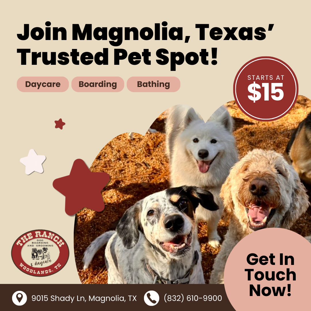 Today's Pet Care Pet Boarding ad creative