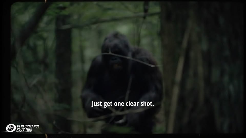 Performance Plus Tire and Automotive Superstore Auto Dealer ad creative