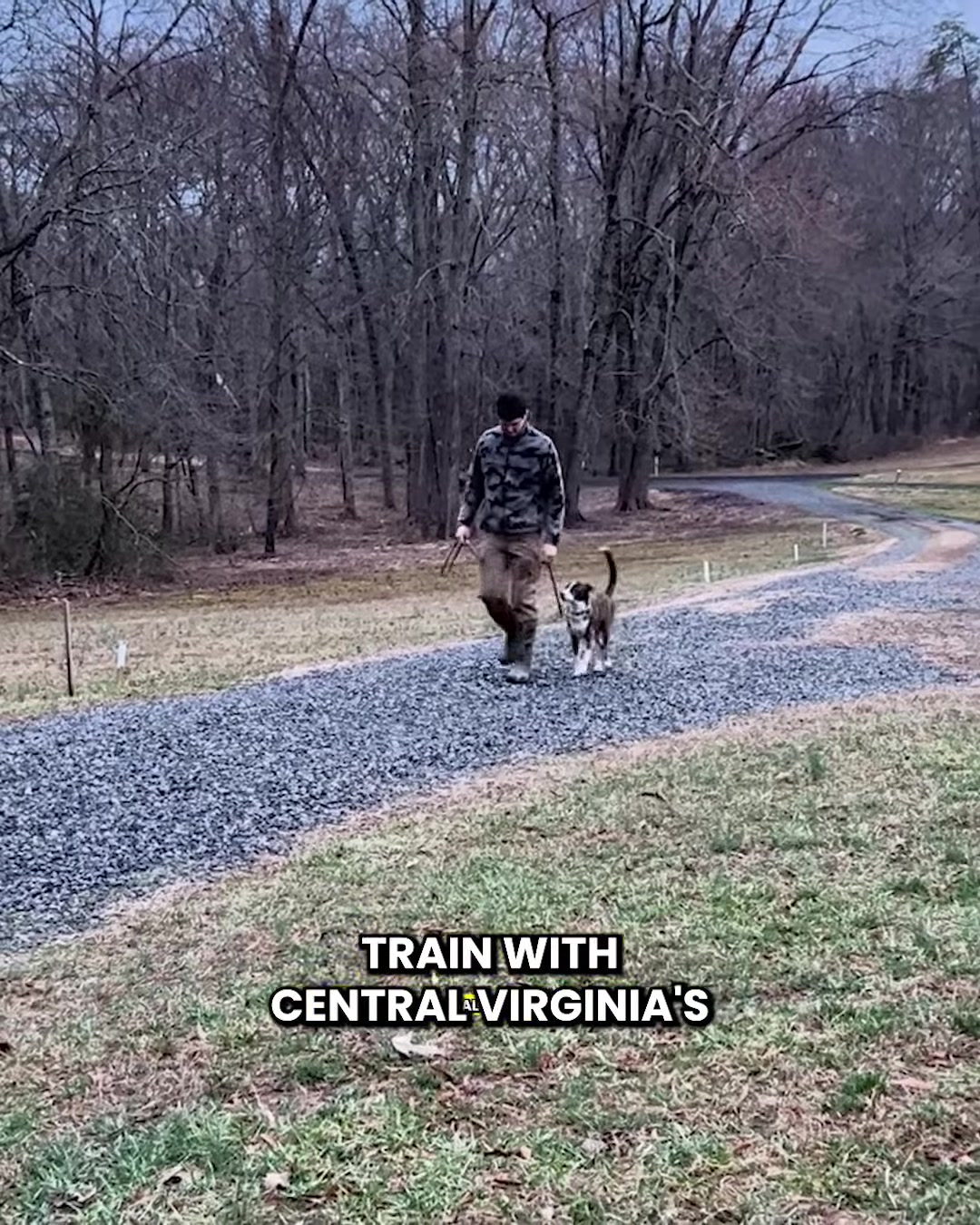 HEY DOG OWNERS, STOP SCROLLING! 👉