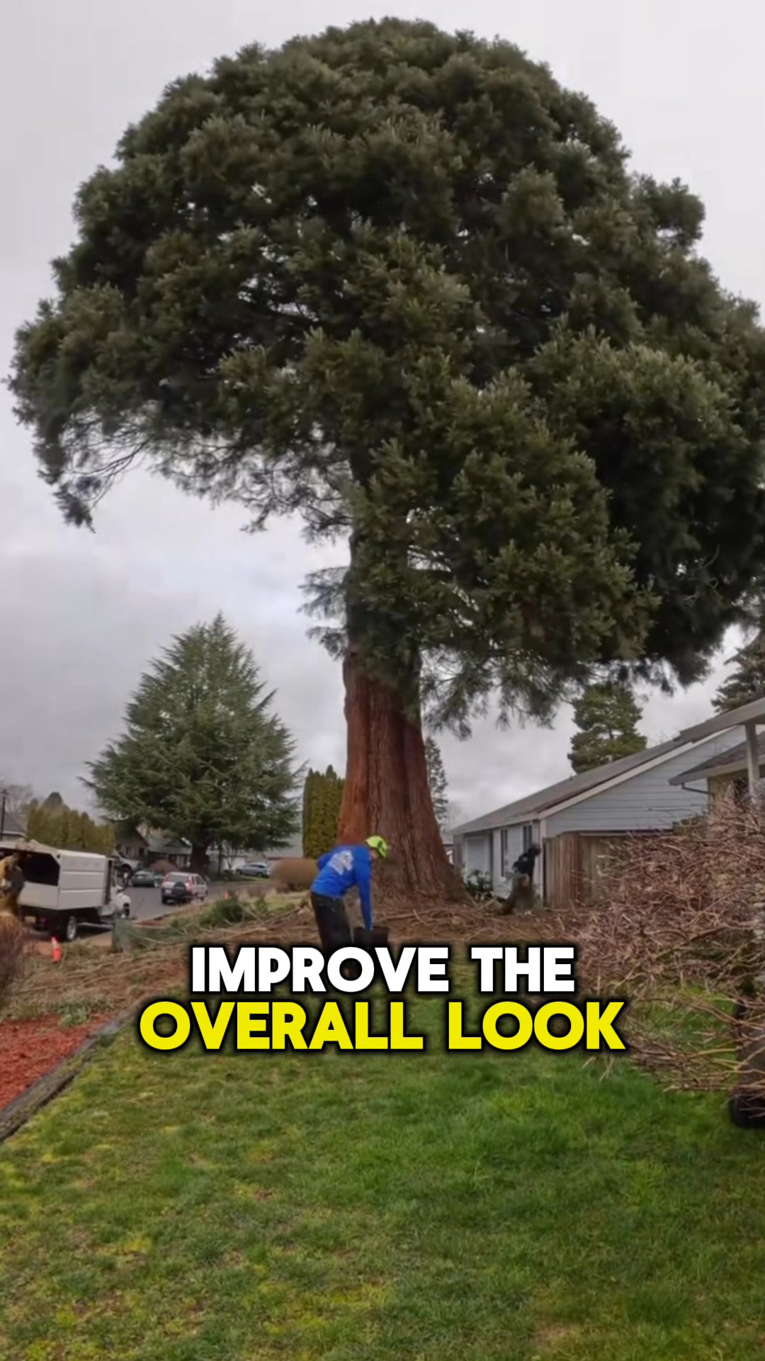 Get your free estimate today!