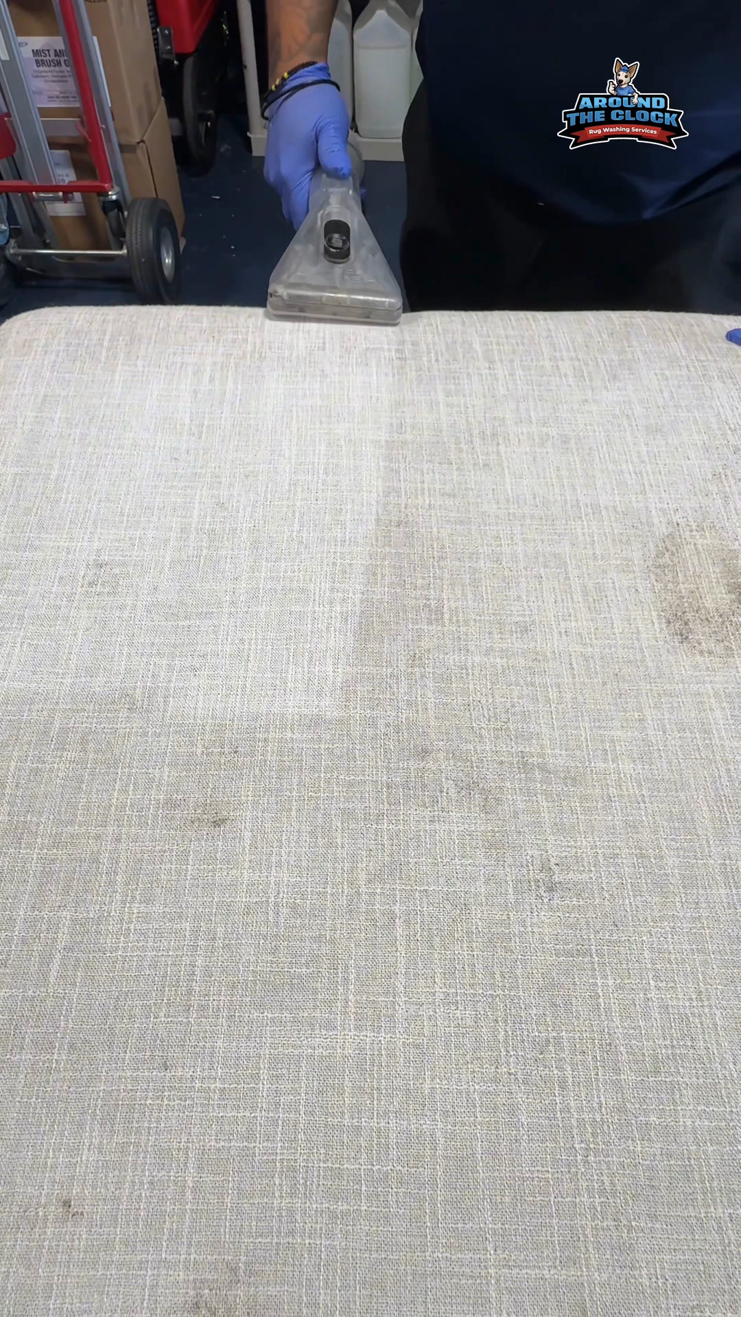 Got Mold, Stains, or Grime? We Can Fix It.