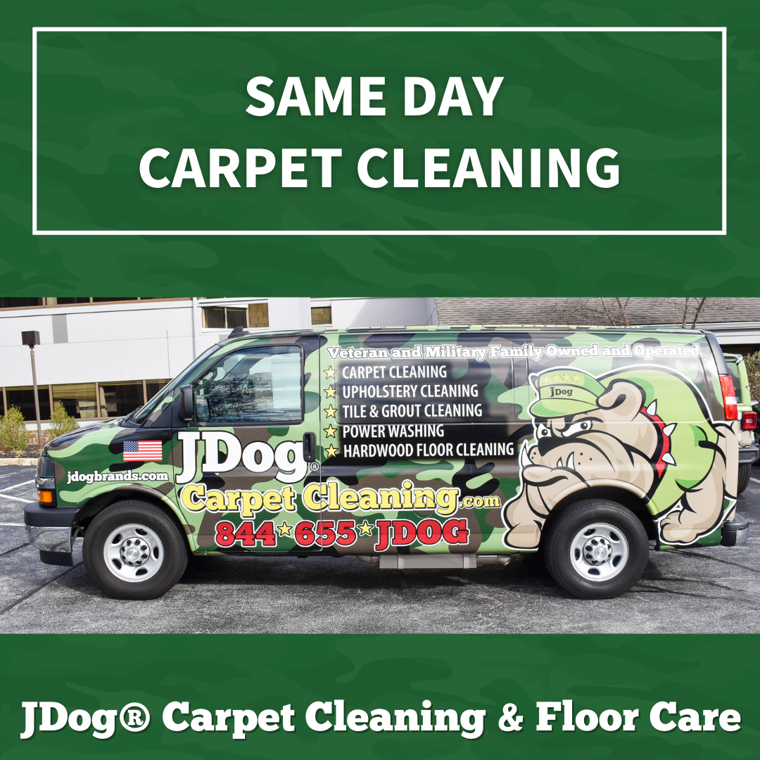 JDog Carpet Cleaning & Floor Care Western Main Line Carpet Cleaning ad creative