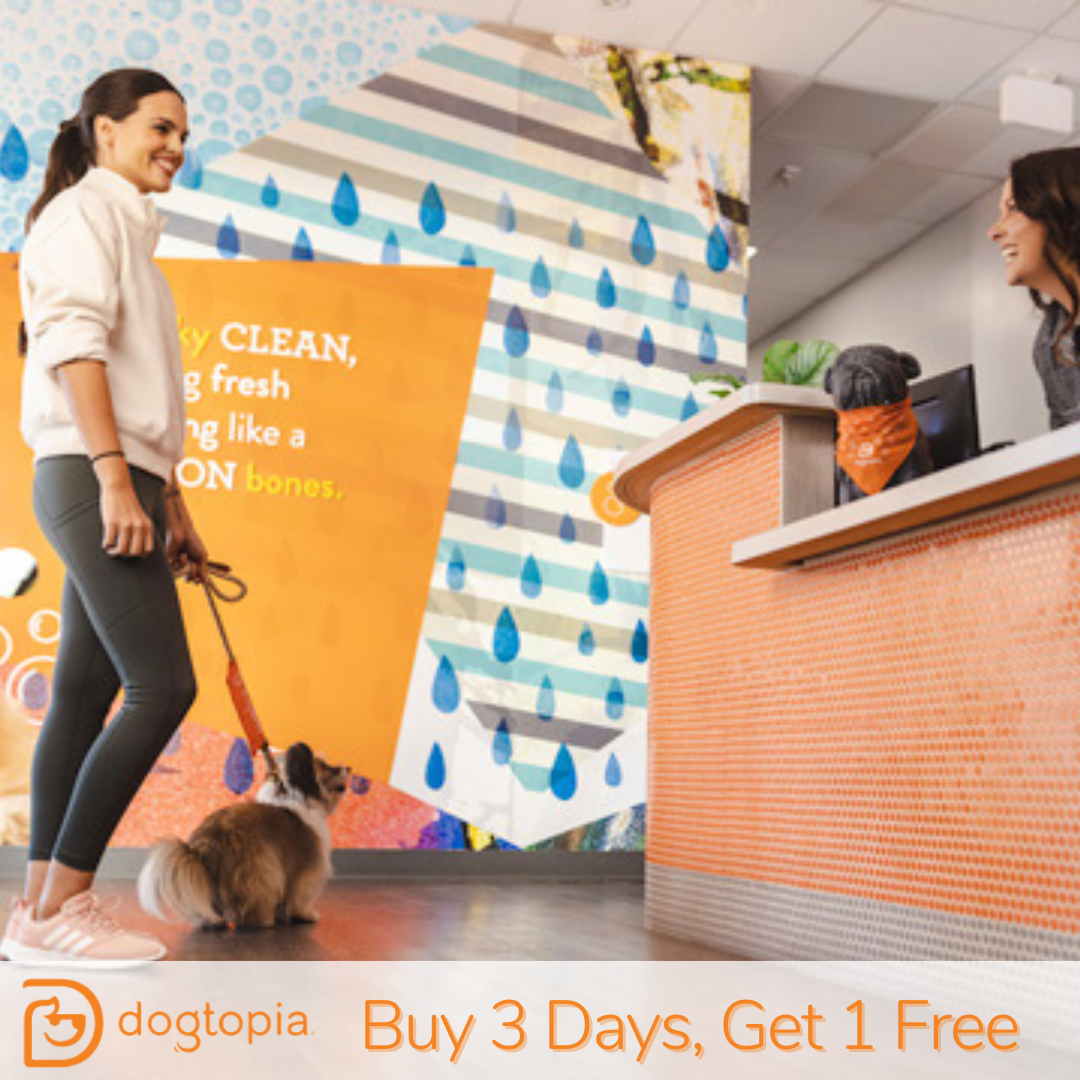 www.dogtopia.com
