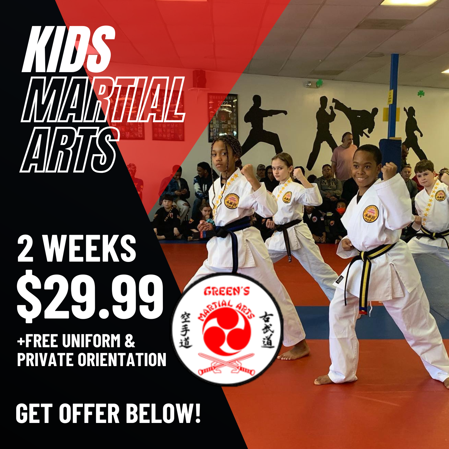 Green's Martial Arts Martial Arts ad creative
