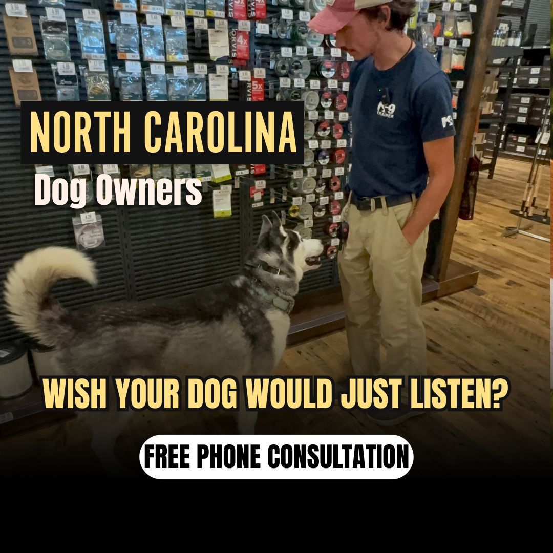 Get the Calm, Well-Mannered Dog You’ve Always Wanted!