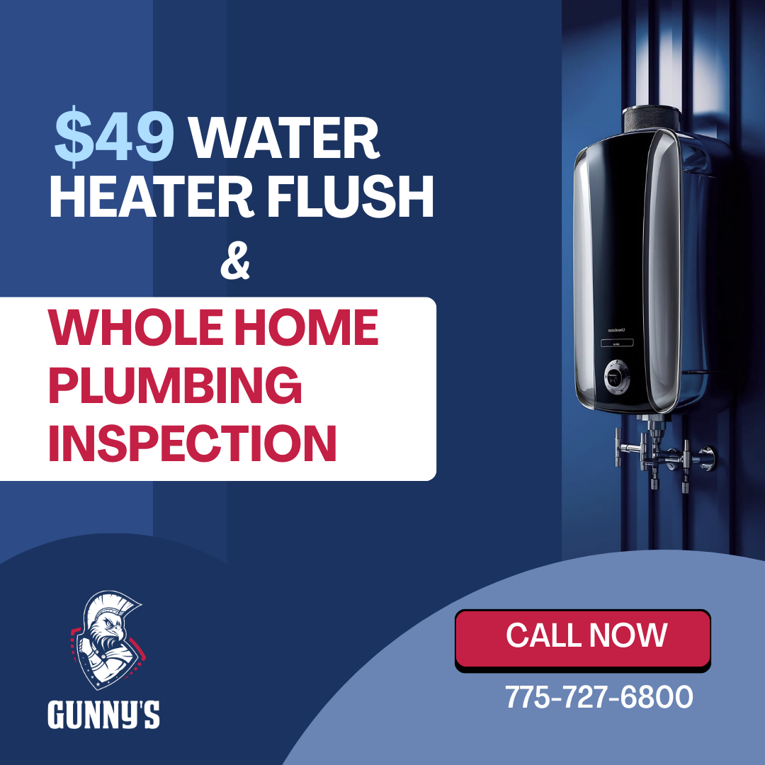 $49 Water Heater Flush + Home Inspection
