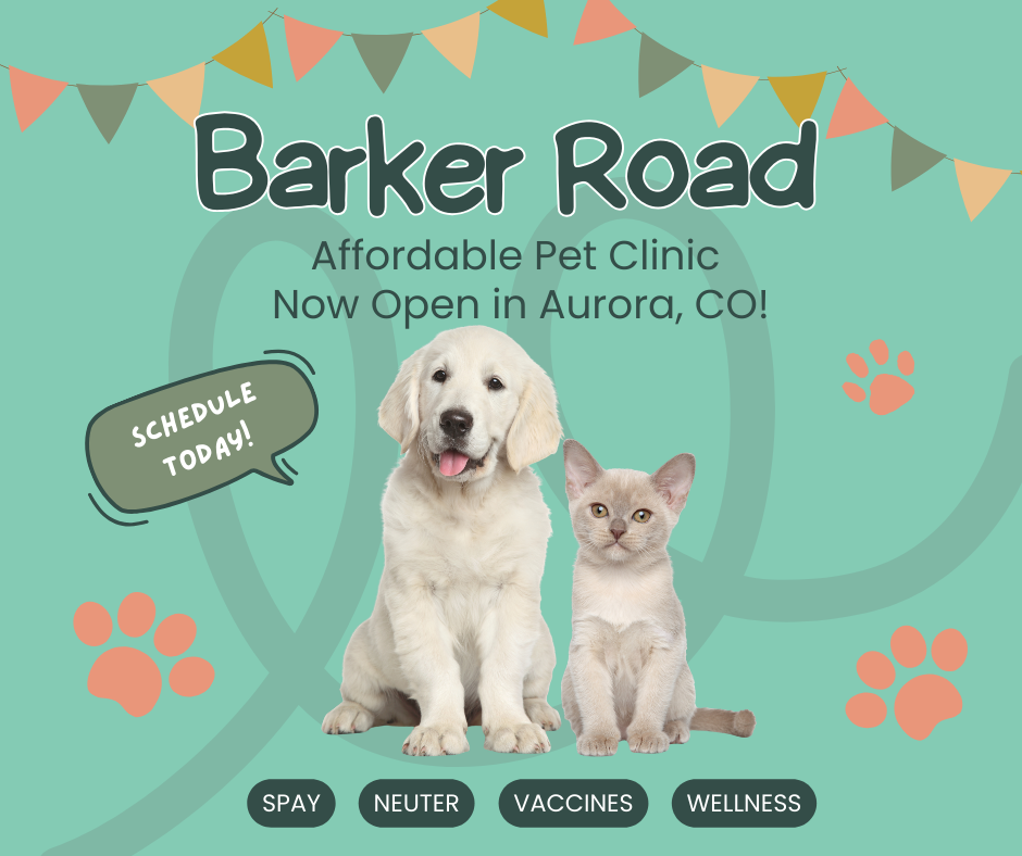 Safe, Reliable Spay & Neuter