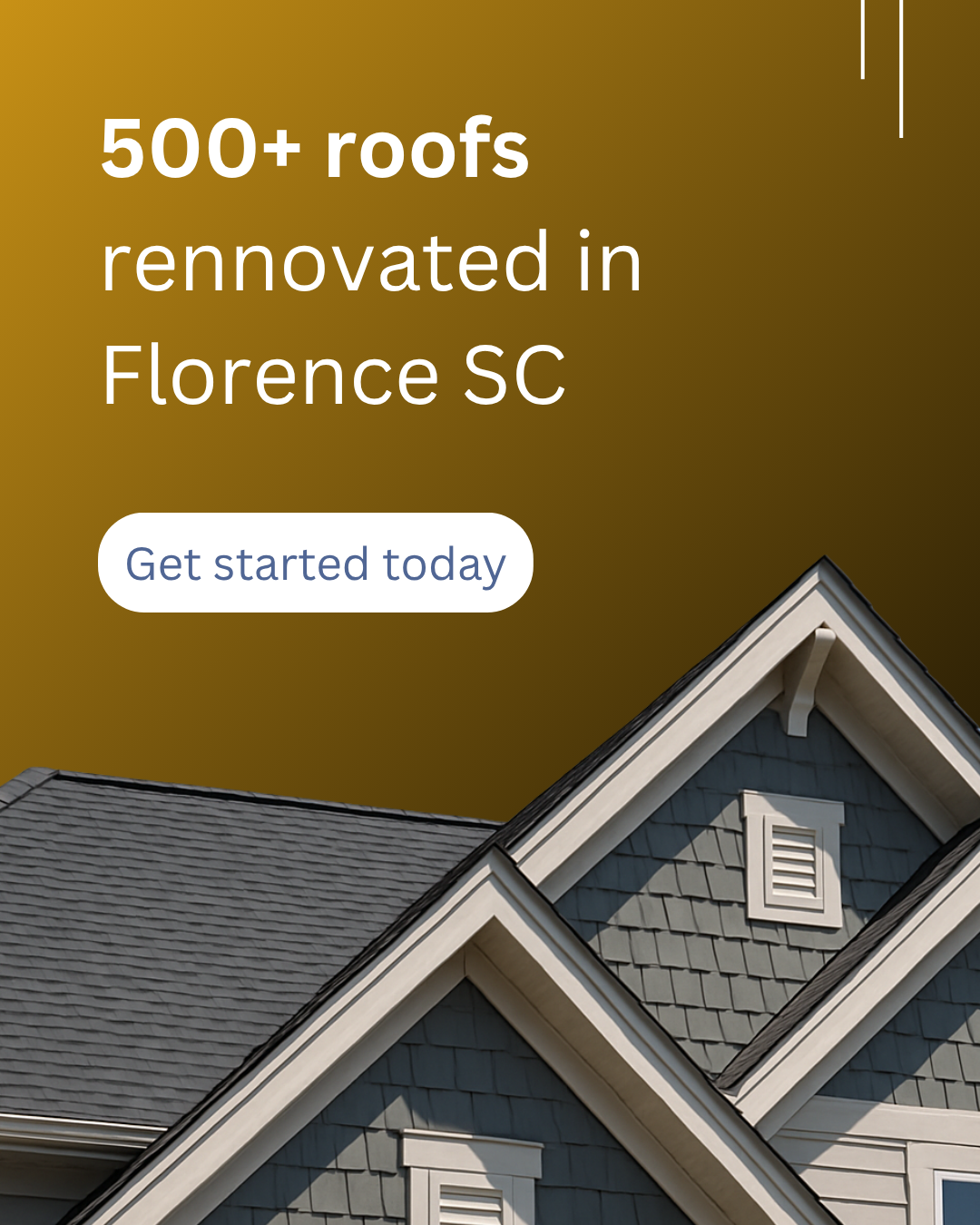 Palmetto Roofing and Solar Roofing ad creative