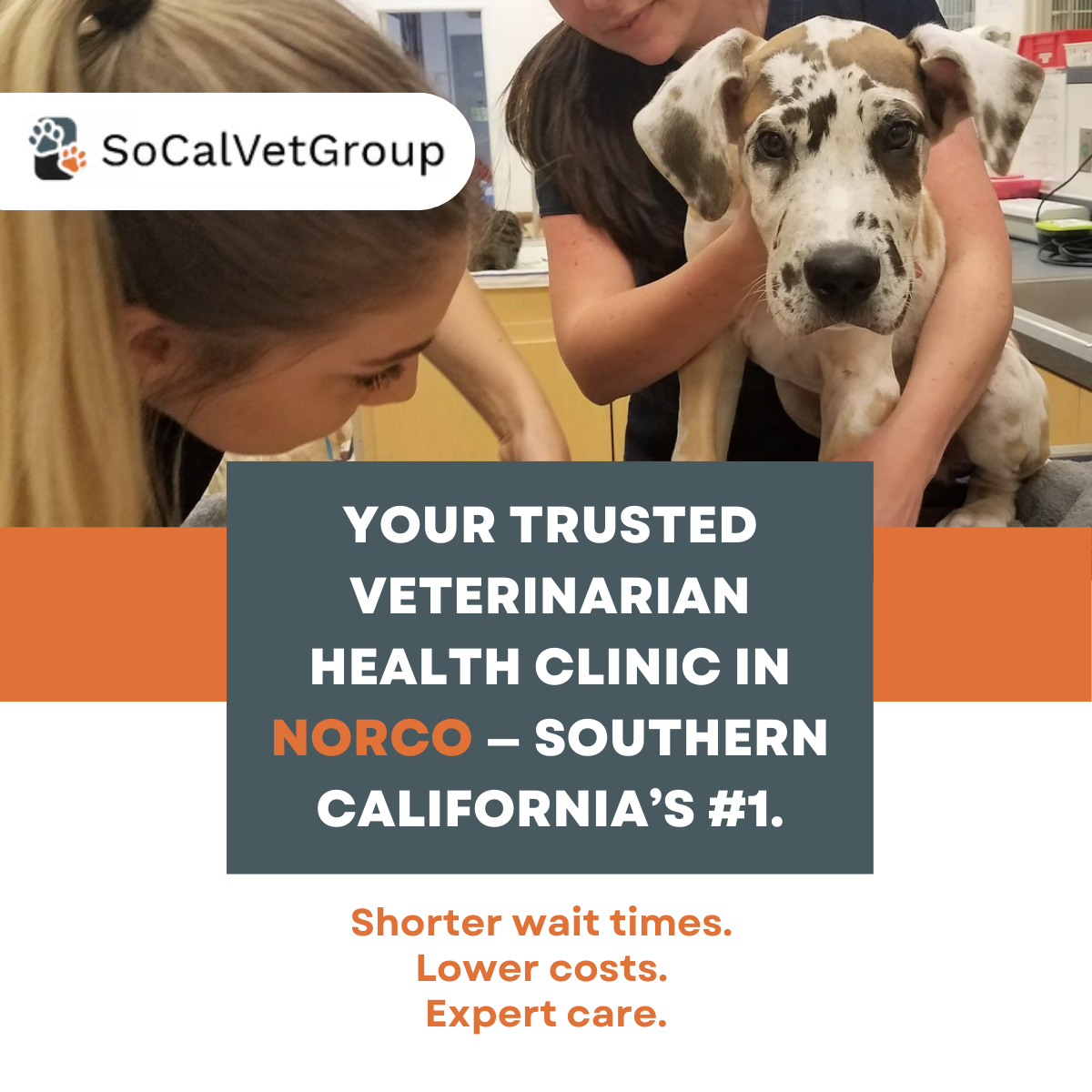 Shorter wait times | Lower costs | Expert care