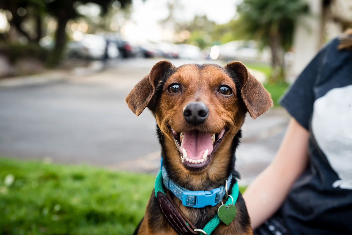 Here when you need us