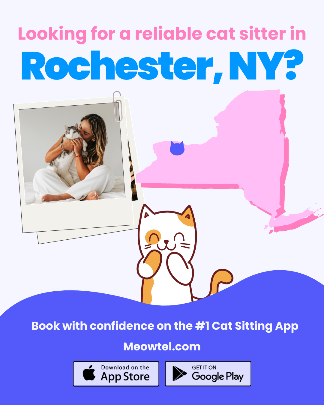 Find a loving cat sitter now