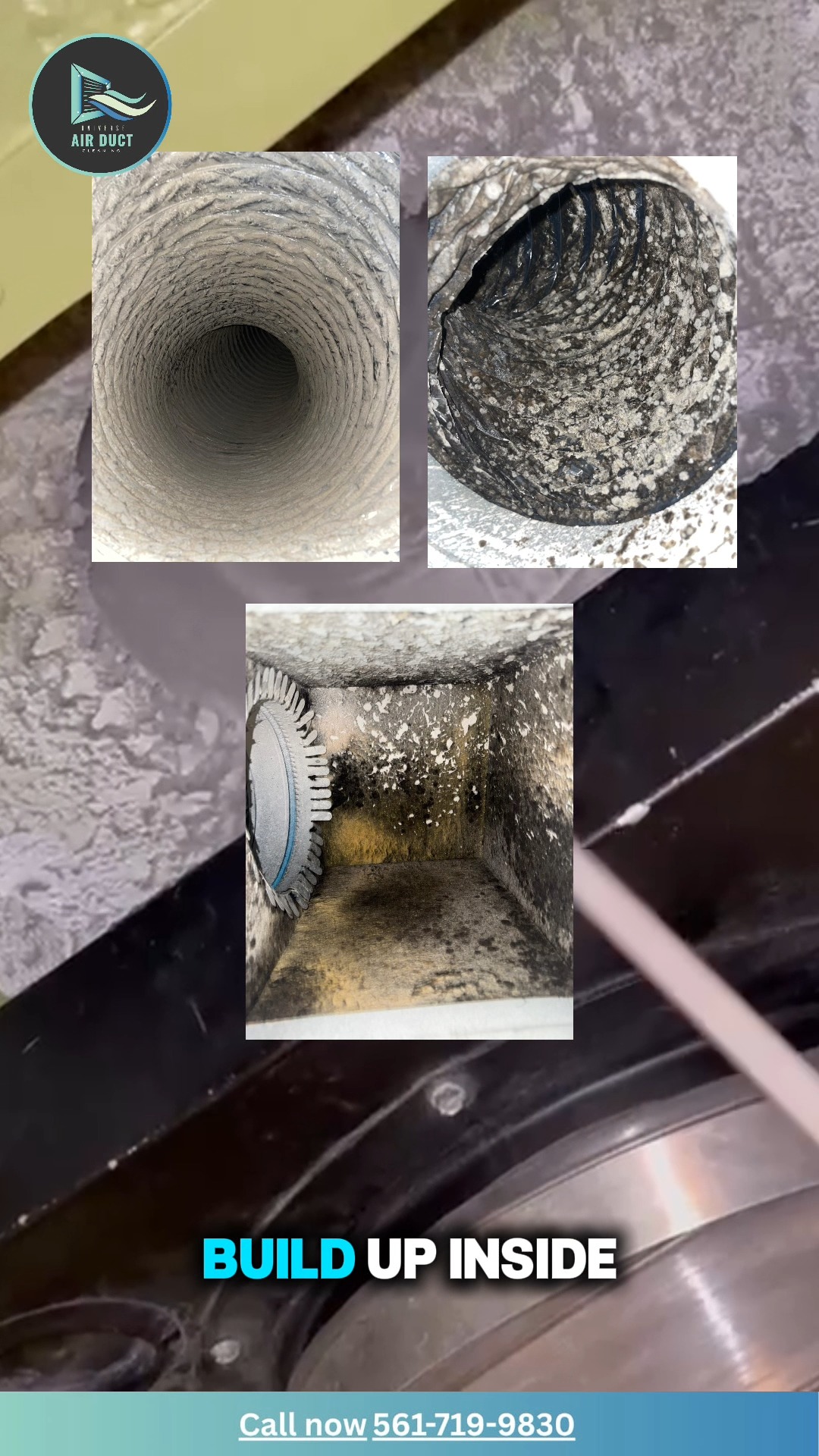 Breathe Cleaner Air Today