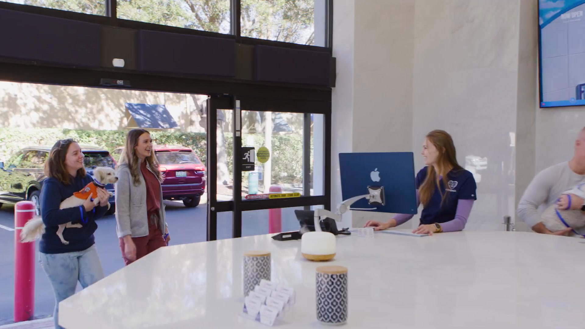 FREE Pet Exam for New Clients | Forever Vets Animal Hospital