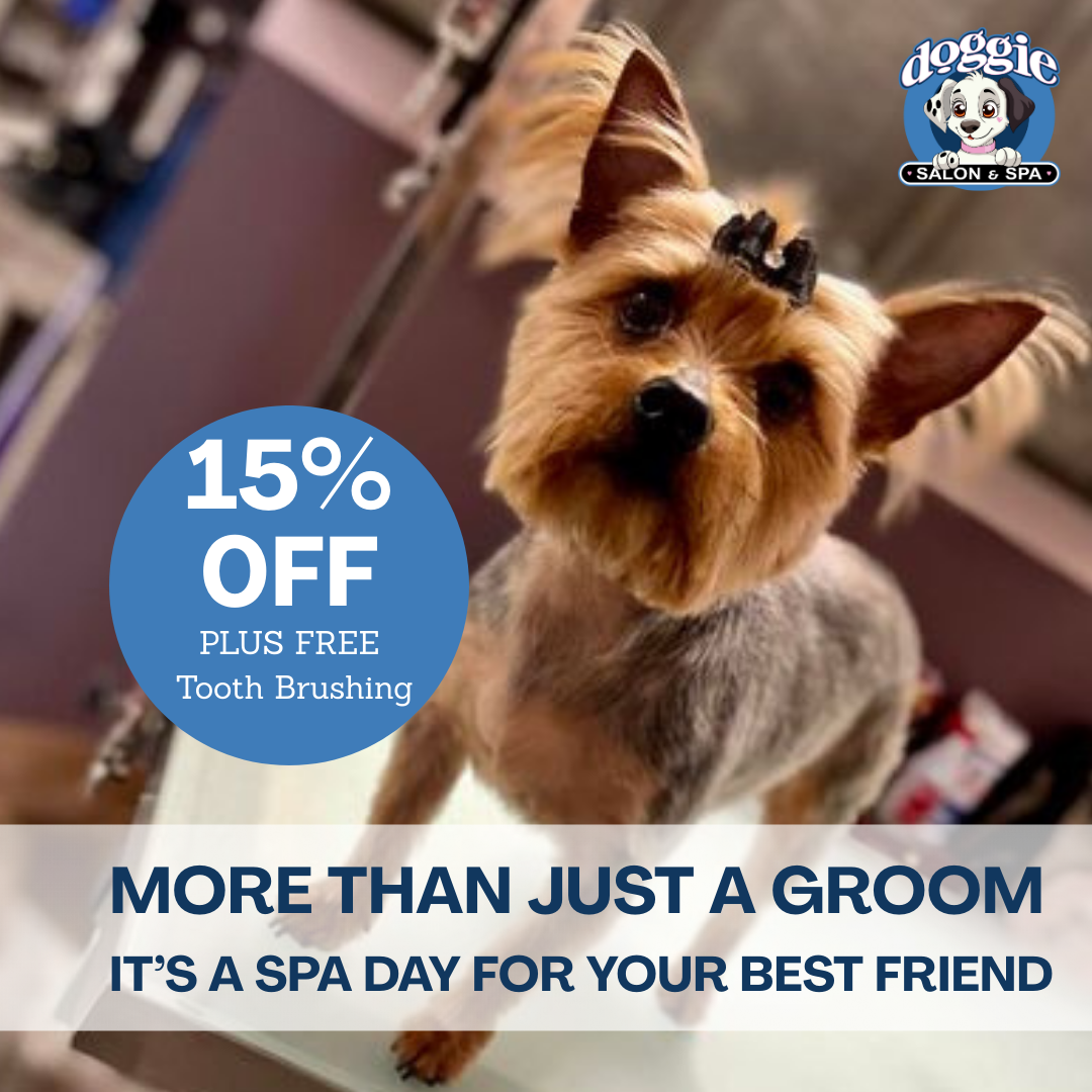 Book Your Pup’s Glow-Up Now 👉