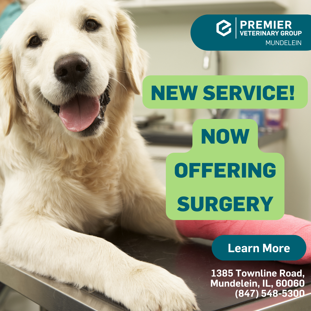 Now offering Surgical Care!