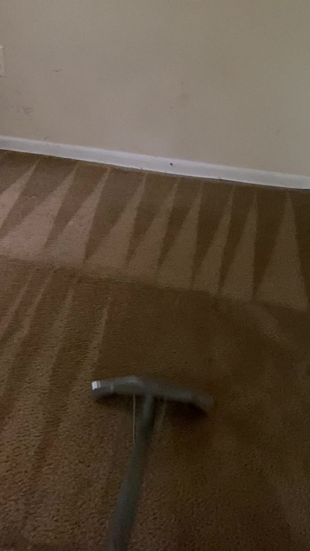 Jean Spotless Carpet Clean Carpet Cleaning ad creative