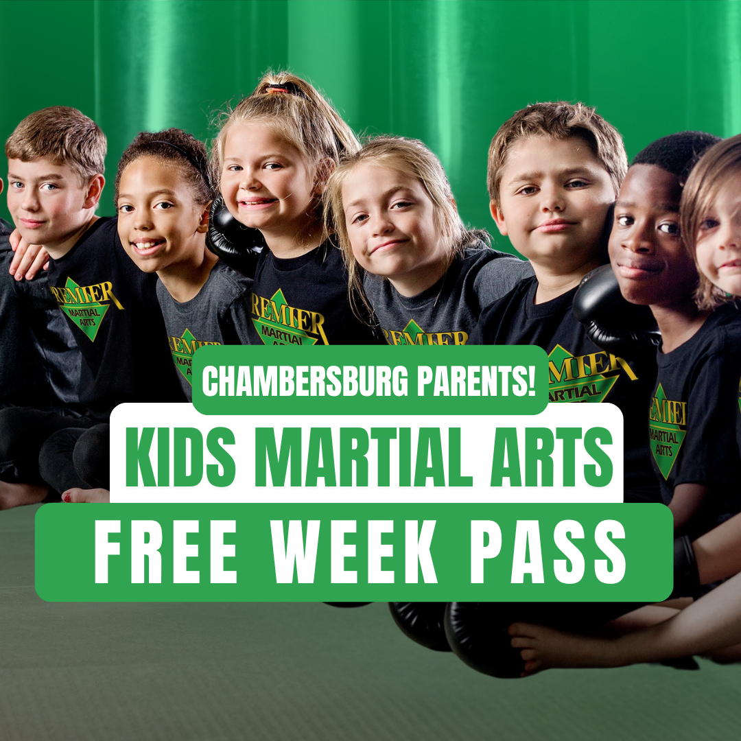 Premier Martial Arts Chambersburg Martial Arts ad creative