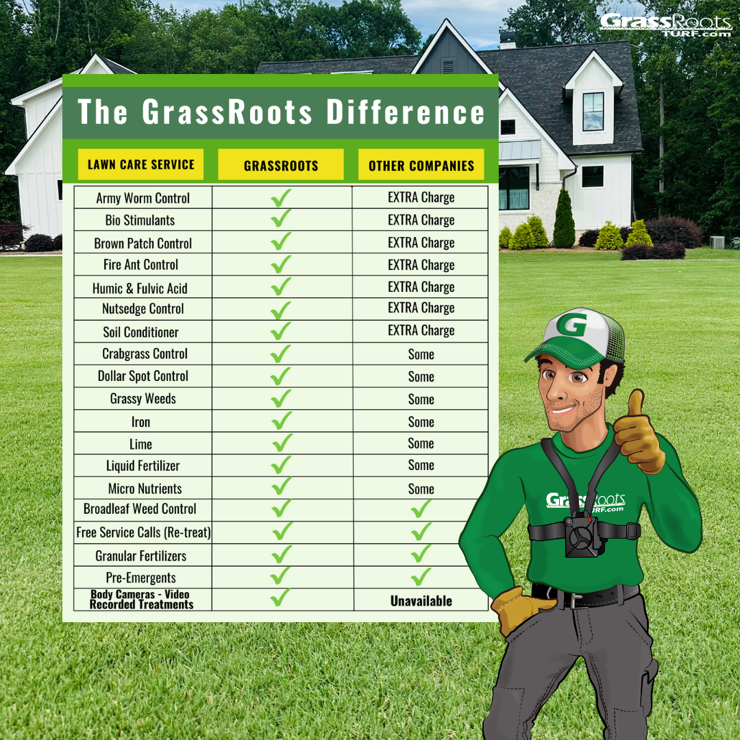 GrassRoots Turf Lawn Care ad creative