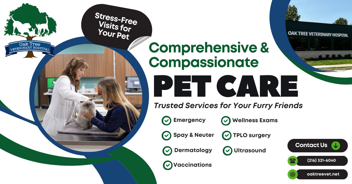 🐾 Stress-Free Pet Visits 🐾
