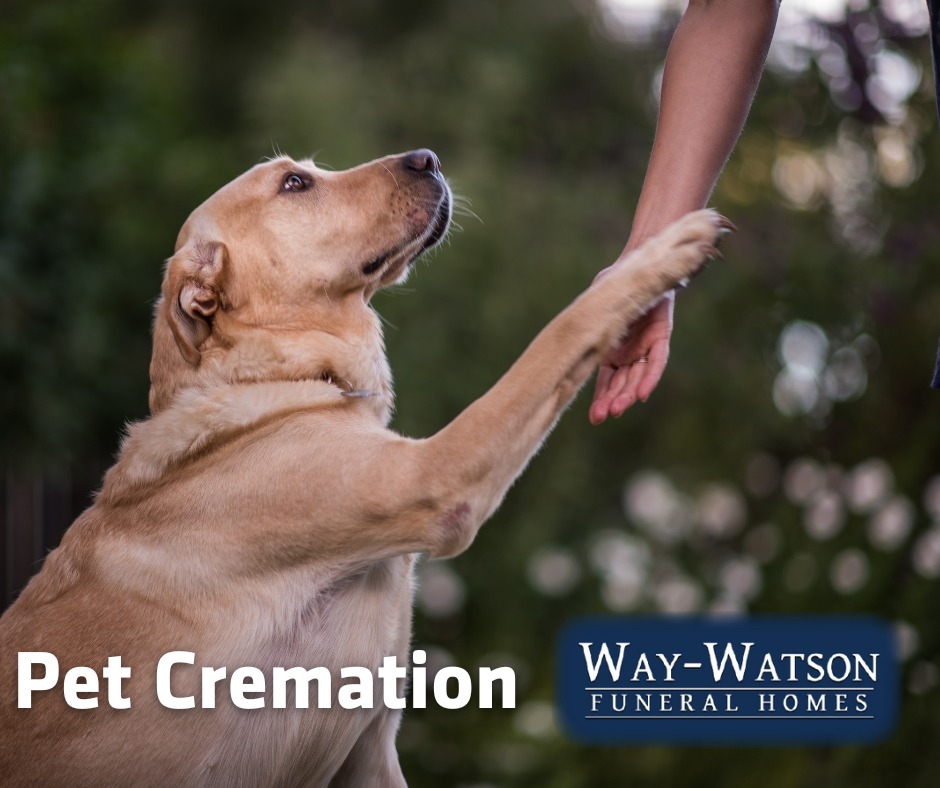Way-Watson Pet Cremation