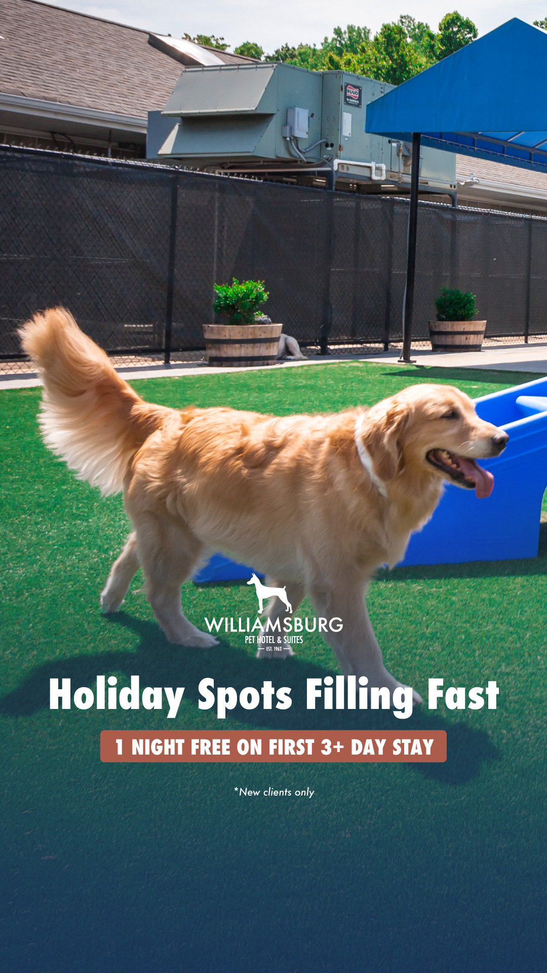 Stress-Free Holiday Boarding