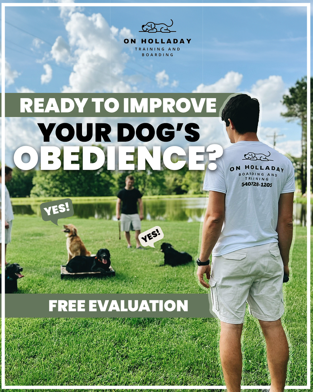 HEY DOG OWNERS, STOP SCROLLING! 👉