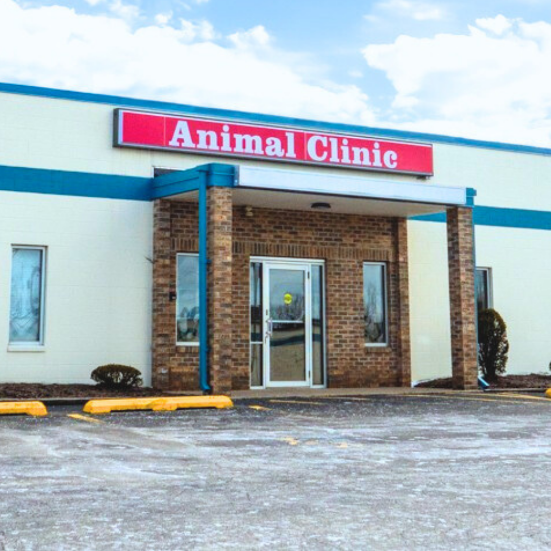 The Animal Clinic