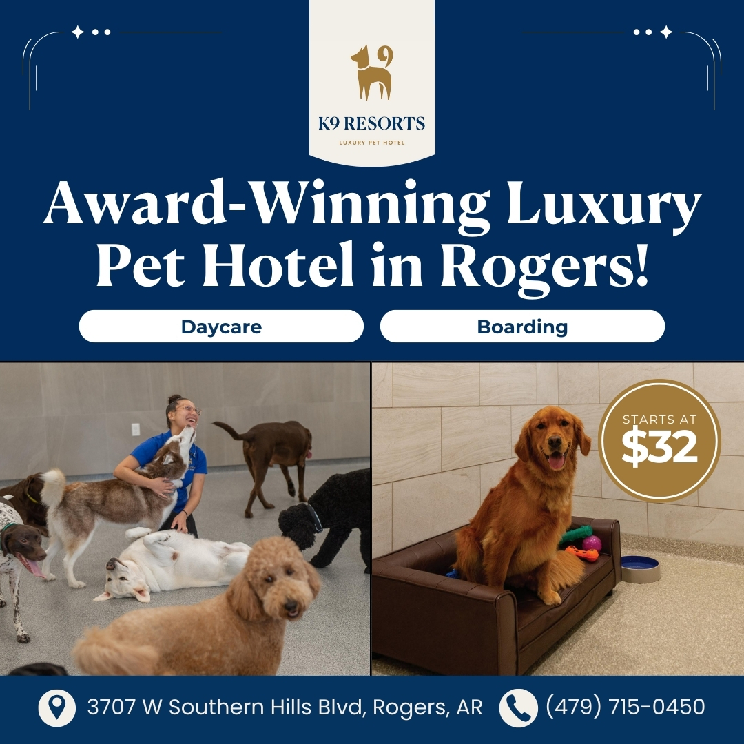 Today's Pet Care Pet Boarding ad creative